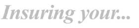 Home, auto, marine, business and lifestyle insurance